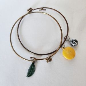 2 Botanical Style Braclets from traveling Lion King Musical